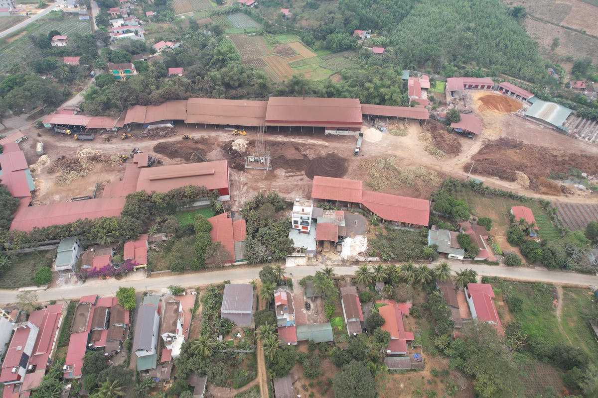 Nhà máy chế biến gỗ Đạm Xuân nằm gần khu dân cư, gây nên tác động tiêu cực tới đời sống sông.