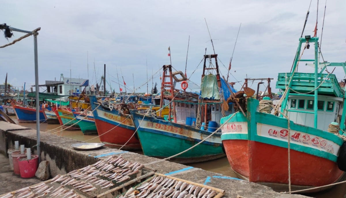 Nhiều tàu cá neo đậu trong cảng cá Gành Hào.