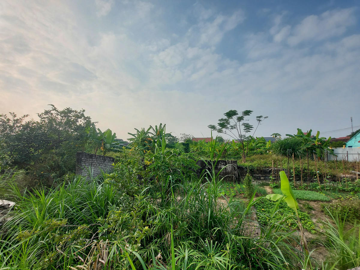 Khu vực ngoài đê (5,23ha) bao gồm các hạng mục: Chòi nghỉ; tam cấp lên xuống; sân lát đá xanh; kè và bậc bến thuyền. Bồi thường giải phóng mặt bằng và tái định cư cho khoảng 210 hộ dân thuộc phạm vi thu hồi đất thực hiện dự án.