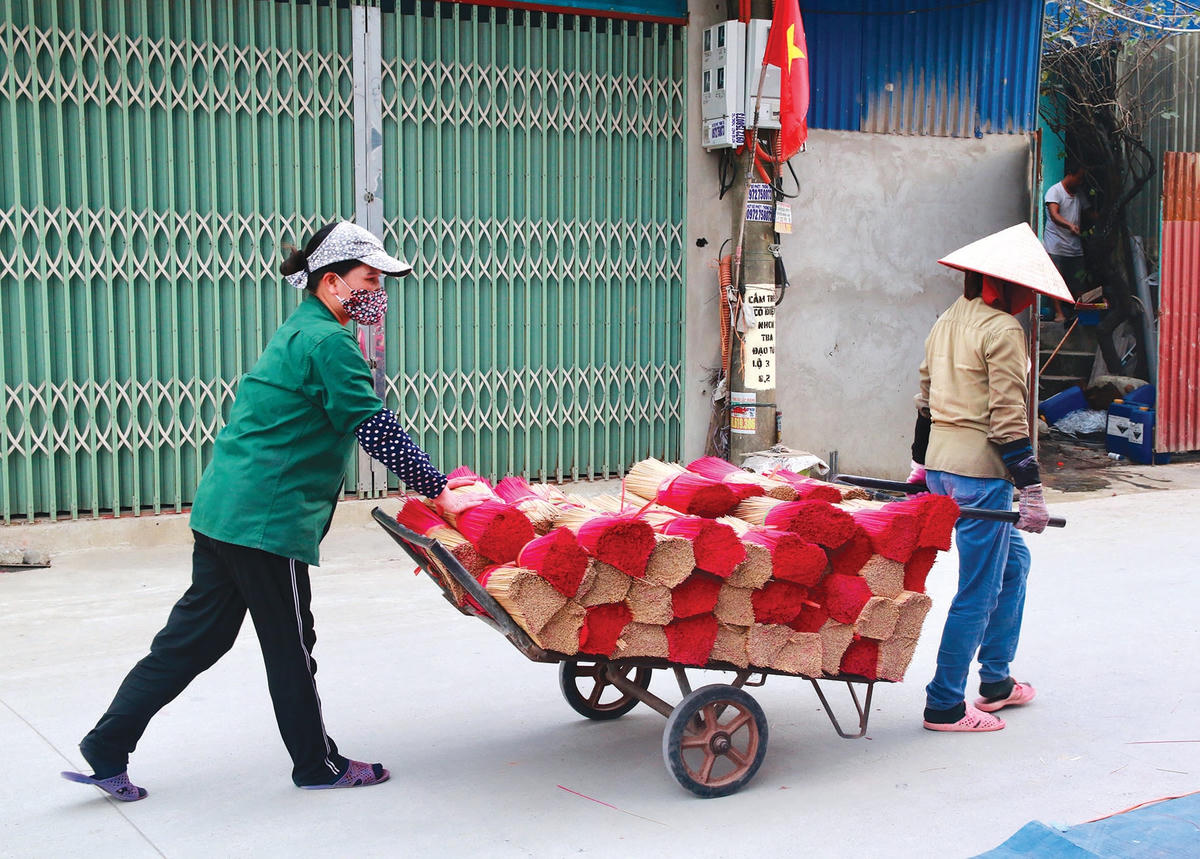 Chân hương sau khi phơi được đem đi cân và bó thành bó lớn.  