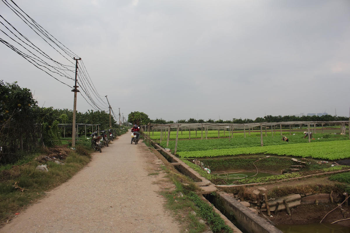 khu-cong-nghe-sinh-hoc-cao-16-.jpg