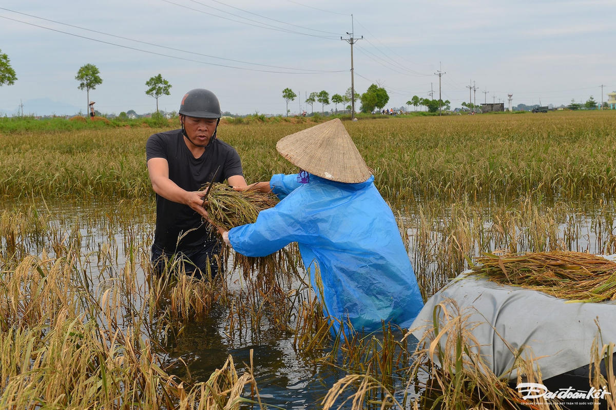 bo_doi_gat_lua-le-khanh11.jpg