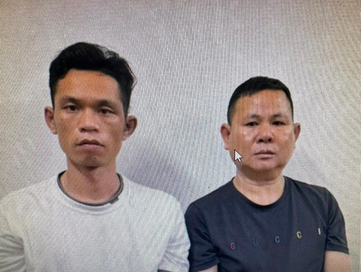tq.jpg