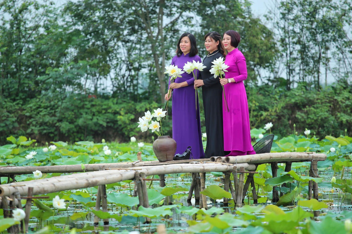 Nhiều người không ngại đường xa lẫn thời tiết nắng nóng sẵn sàng tìm đến đây tạo dáng để có cho mình những tấm ảnh đẹp cùng sen.
