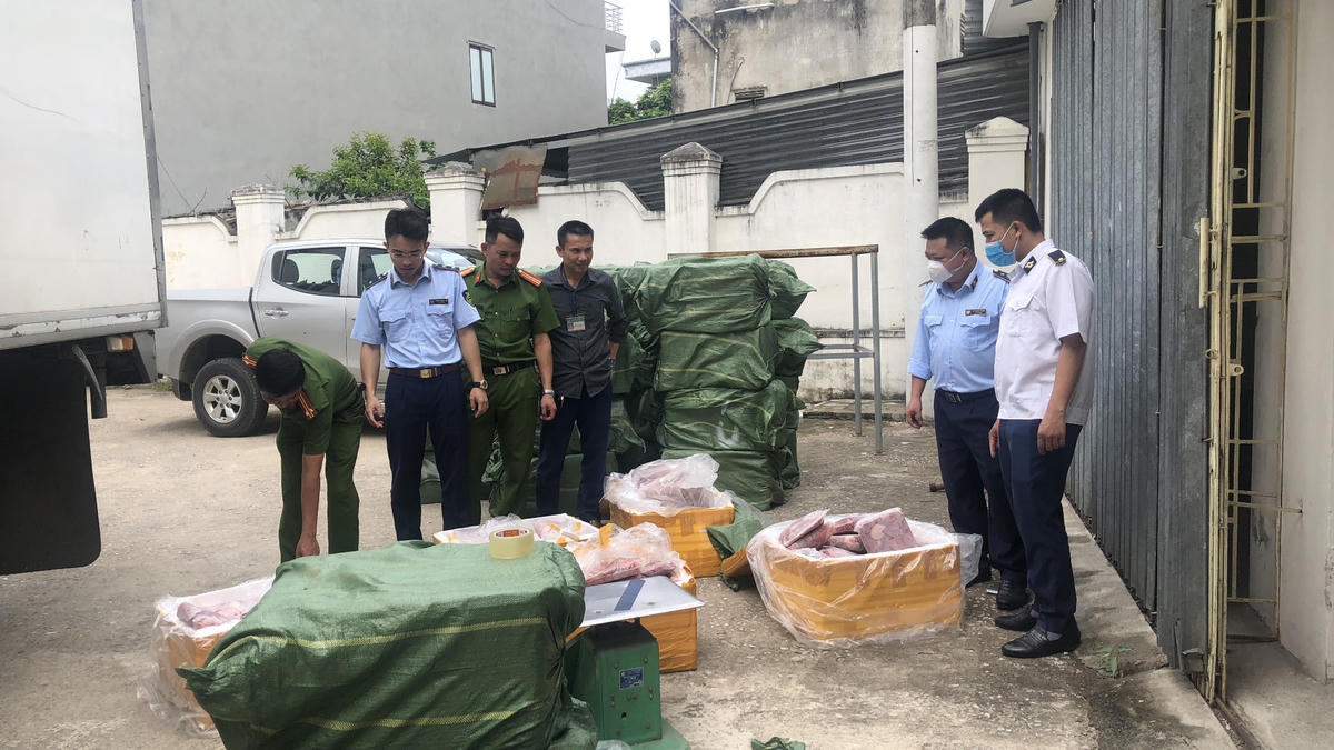 Cục QLTT Thanh Hóa phối hợp cùng các đơn vị liên quan bắt giữ 1,2 tấn tràng lợn không có nguồn gốc xuất xứ.