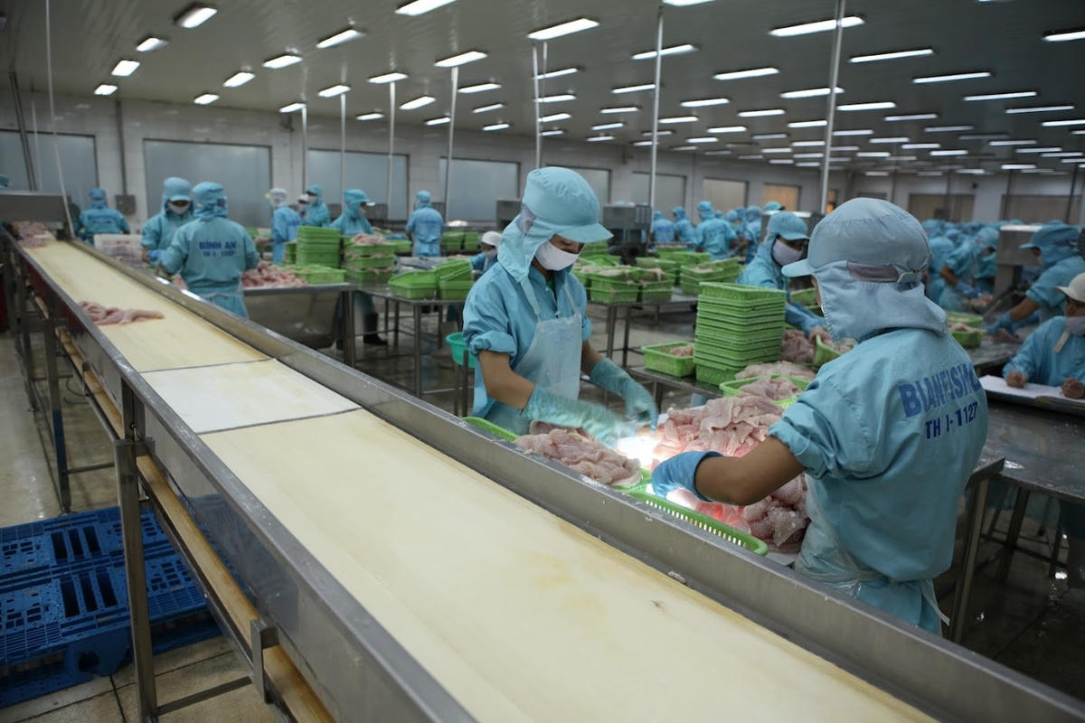 Các doanh nghiệp xuất khẩu cần chủ động nắm rõ thông tin để có thể tận dụng các ưu đãi đến từ các FTA. Ảnh: Quang Vinh.