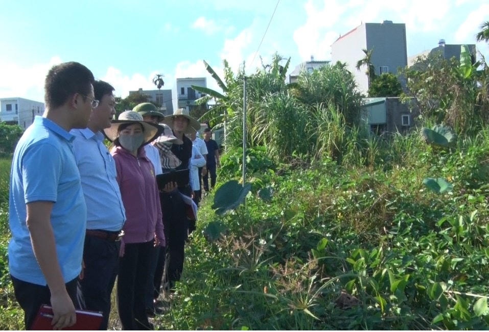 Lãnh đạo quận Kiến An kiểm tra tiến độ một dự án đấu giá quyền sử dụng đất.