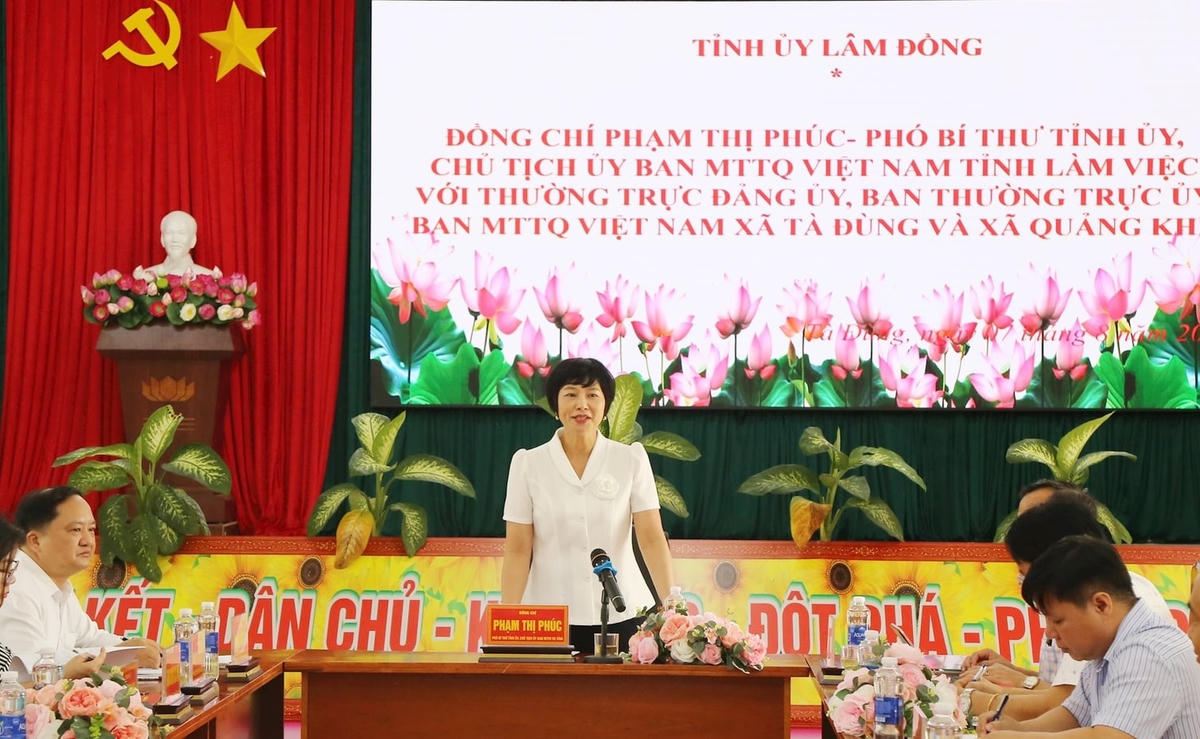 ld.jpg