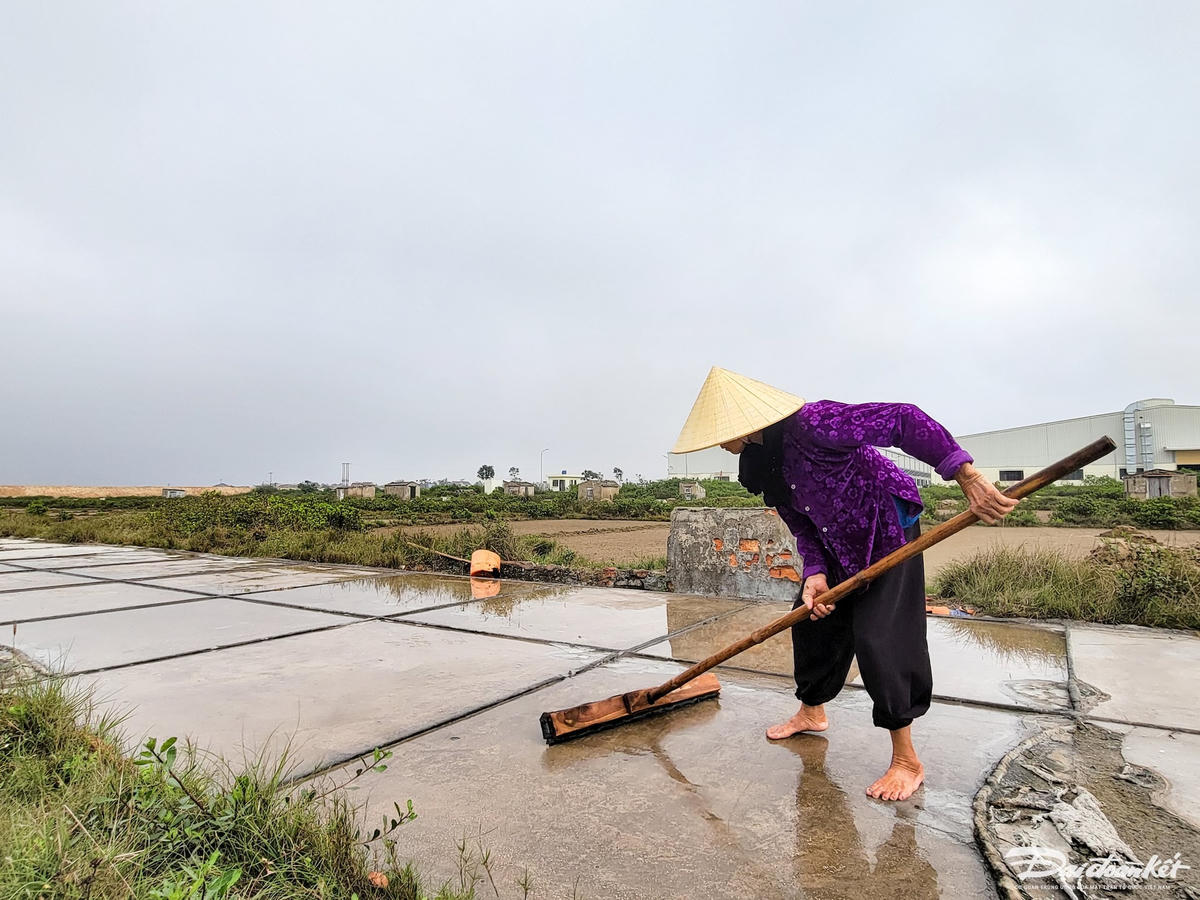 Là một trong những hộ còn làm nghề, bà Phạm Thị Loan, trú thôn Tam Hòa 2 cho biết, hiện gia đình đang có gần 3.000 m2 đất làm ruộng muối. Năm 2023 vừa qua, muối được giá khi đạt mức 2.500 đồng/kg nên bà cũng kiếm được đồng ra, đồng vào. Tuy nhiên, so về mặt bằng chung, nghề này vẫn quá vất vả khi chỉ làm được trong những tháng có nắng, thu nhập trung bình chỉ đạt mức 100.000 đồng/ngày.