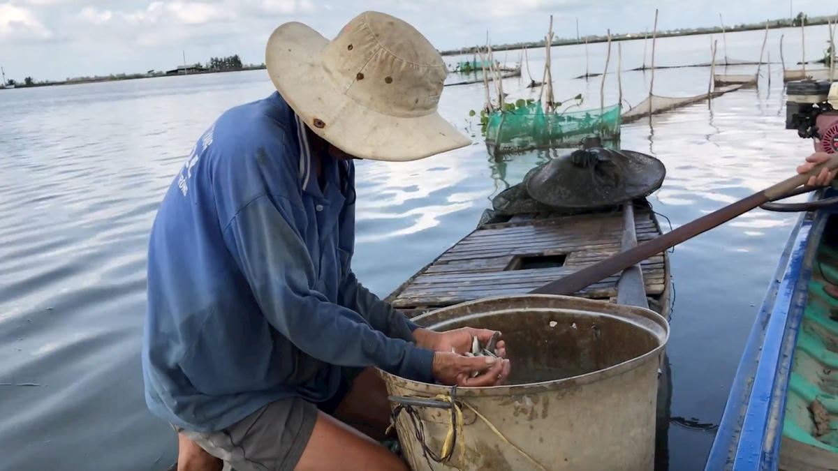 Ảnh 3-Về thượng nguồn Mê Kong mùa nước nổi