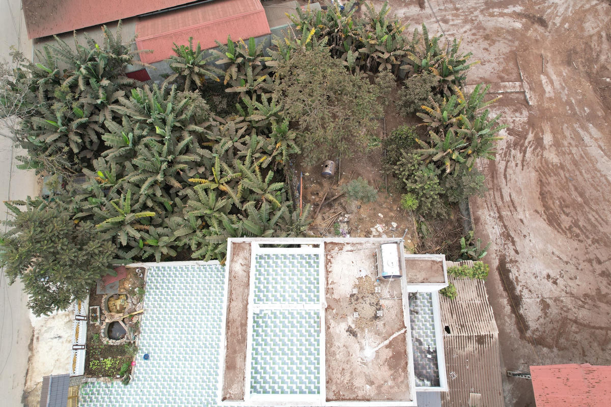 Những ngôi nhà phủ đầy bụi gỗ.