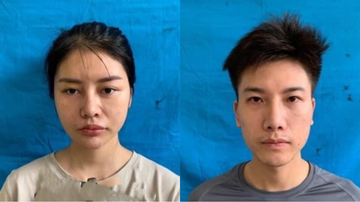 Hồ Khánh Ly và Lê Đức Anh 
