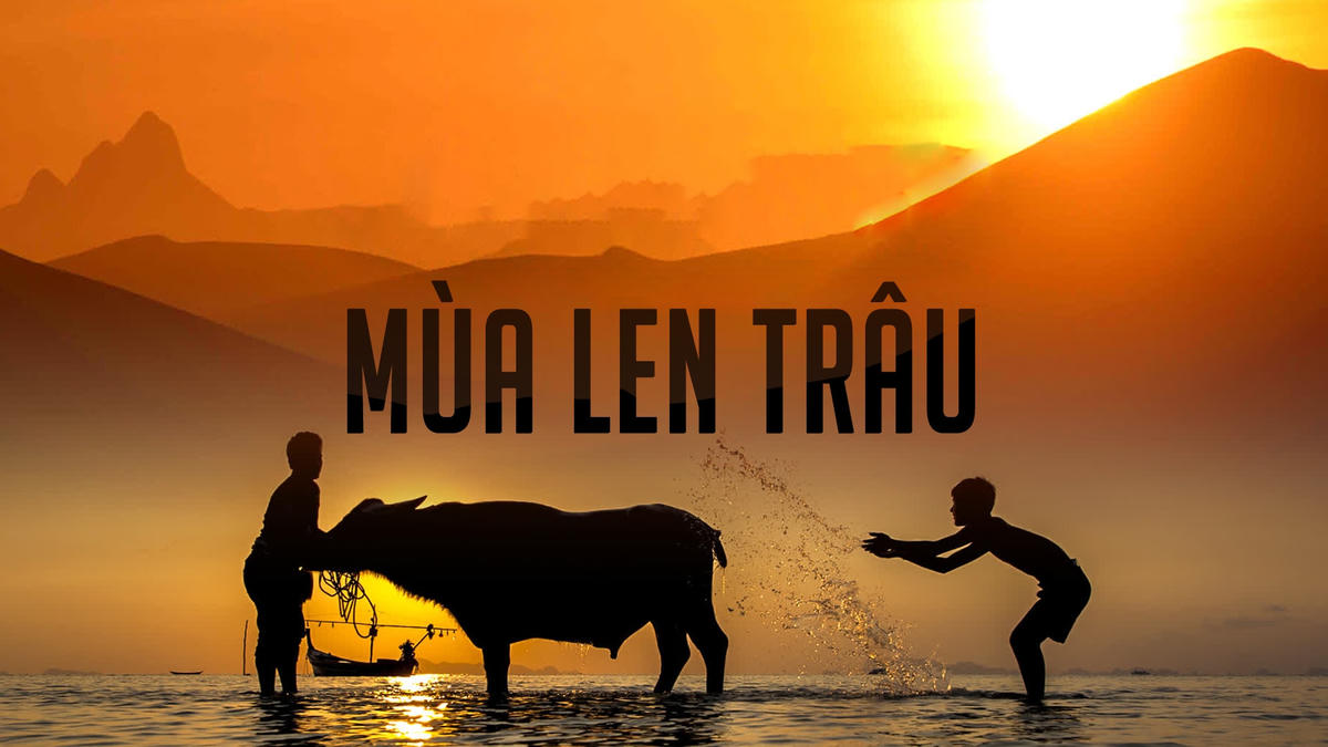 Hình ảnh từ phim “Mùa len trâu”.