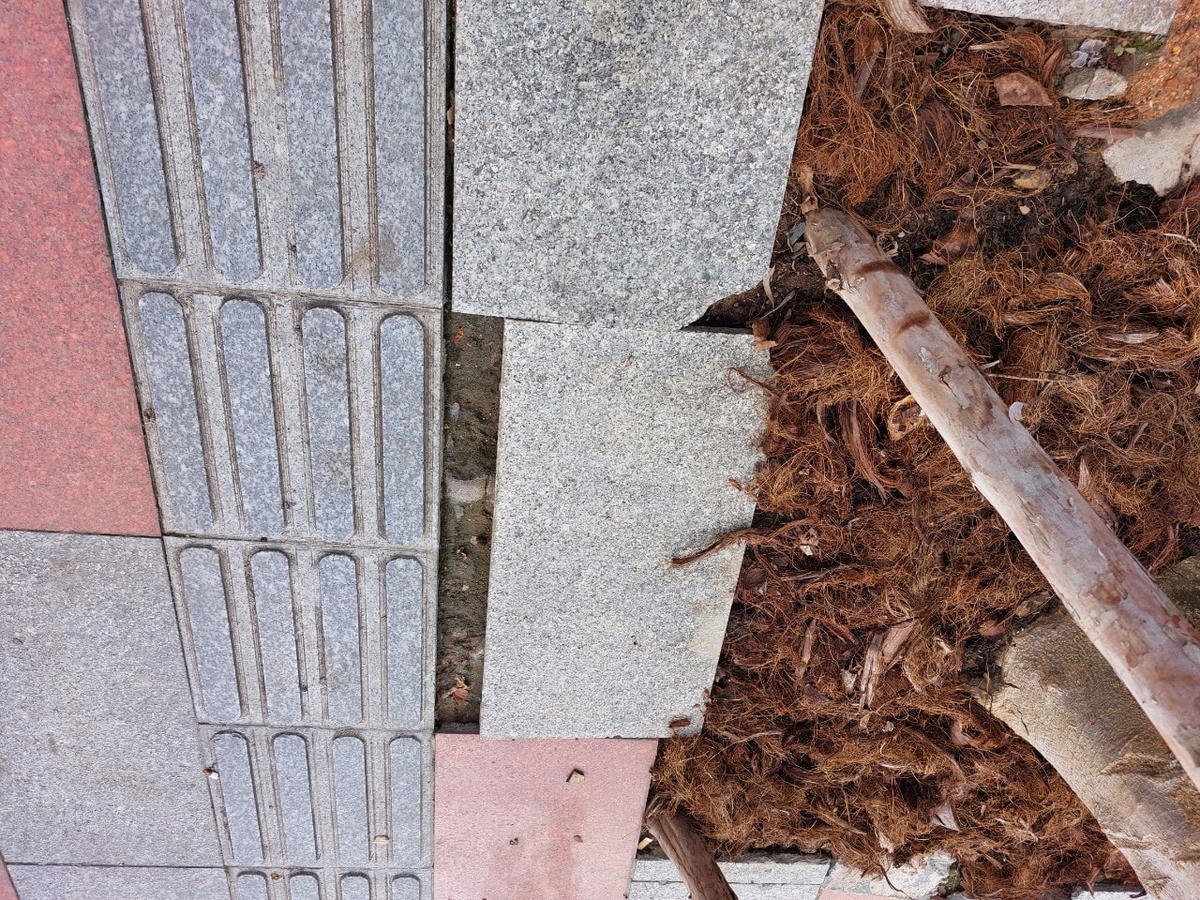 Đá lát vỉa hè khu vực hố trồng cây xanh bong khỏi lớp vữa.