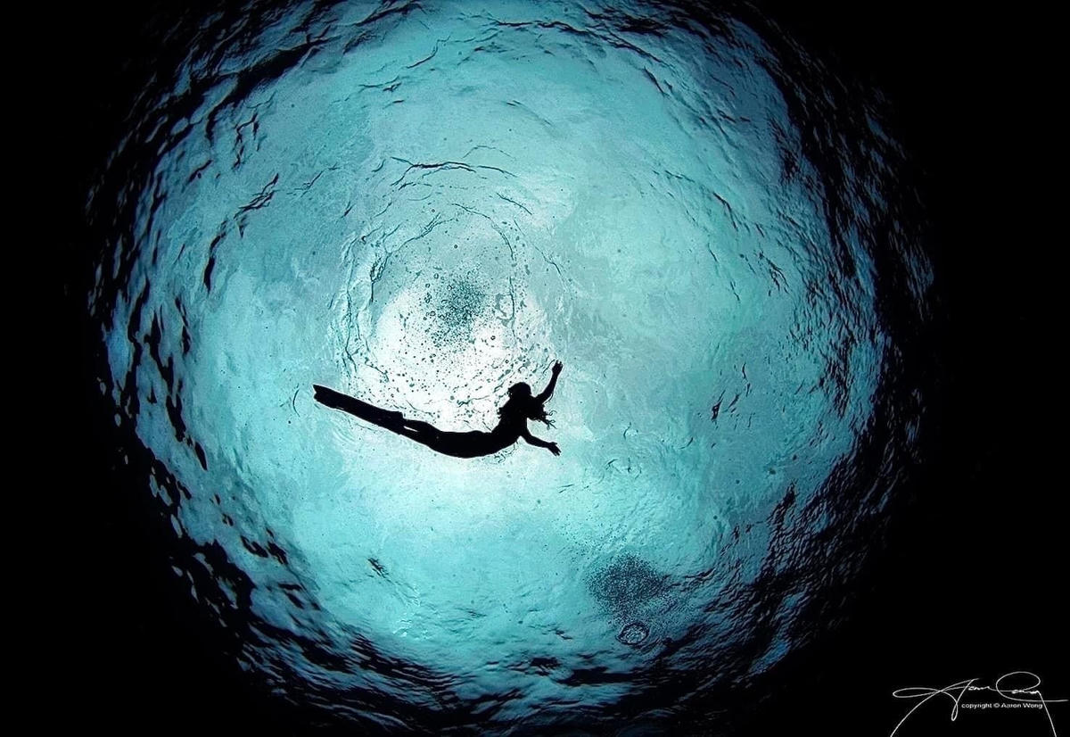 Hiện tượng "Cửa sổ Snell" tại Maldives, một quốc đảo ở Nam Á. Đây là hiện tượng một người quan sát dưới nước nhìn thấy mọi thứ phía trên mặt nước. Ảnh: Aaron Wong.  