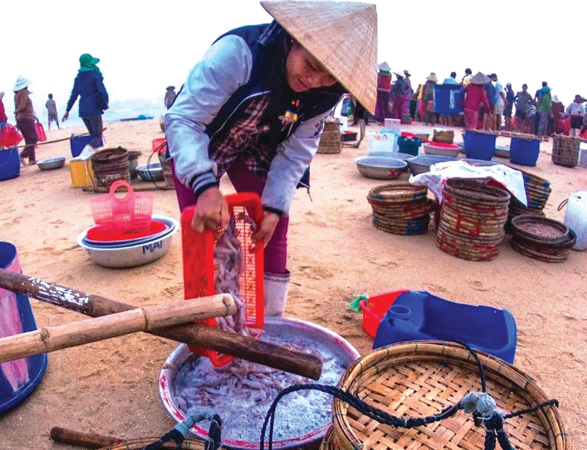 Hải sản của ngư dân đem về bán cho thương lái.  