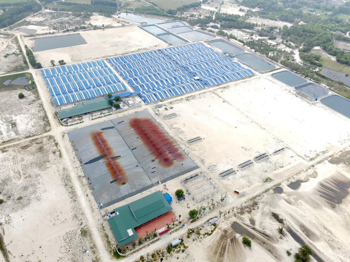 Hiện tại, Dự án nuôi tôm công nghệ cao trên cát thôn Mỹ Hòa chưa đầy đủ thủ tục pháp lý.