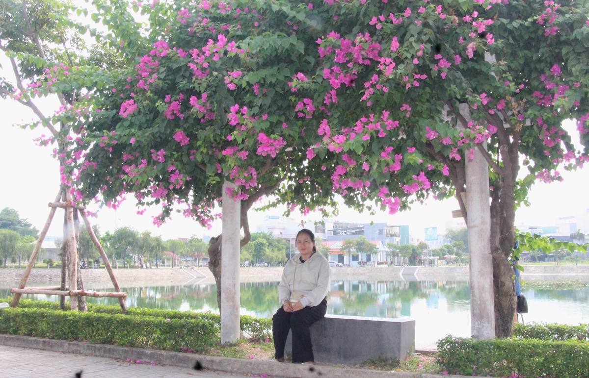 Hoa giấy khoe sắc.