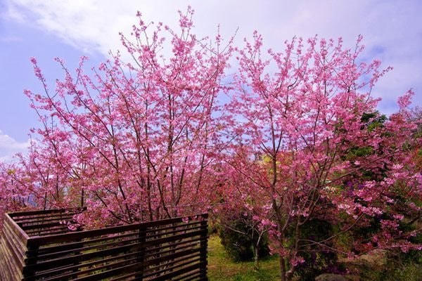anhbaiduoi(1).jpg