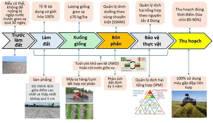 Cánh đồng thực hiện mô hình thí điểm canh tác lúa chất lượng cao và giảm phát thải tại Hợp tác xã Thuận Tiến, ấp H2, xã Thạnh An, huyện Vĩnh Thạnh, TP Cần Thơ. Ảnh: T.Tiến.