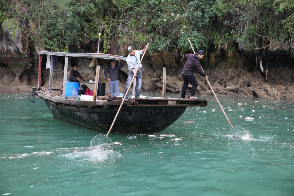Ban Quản lý Vịnh Hạ Long đã huy động gần 20 tàu, xuồng, đò đến tất cả các luồng, tuyến tham quan trên Vịnh Hạ Long để thu gom, vận chuyển rác, phao xốp trôi nổi trên mặt biển. Ảnh: Minh Đức.