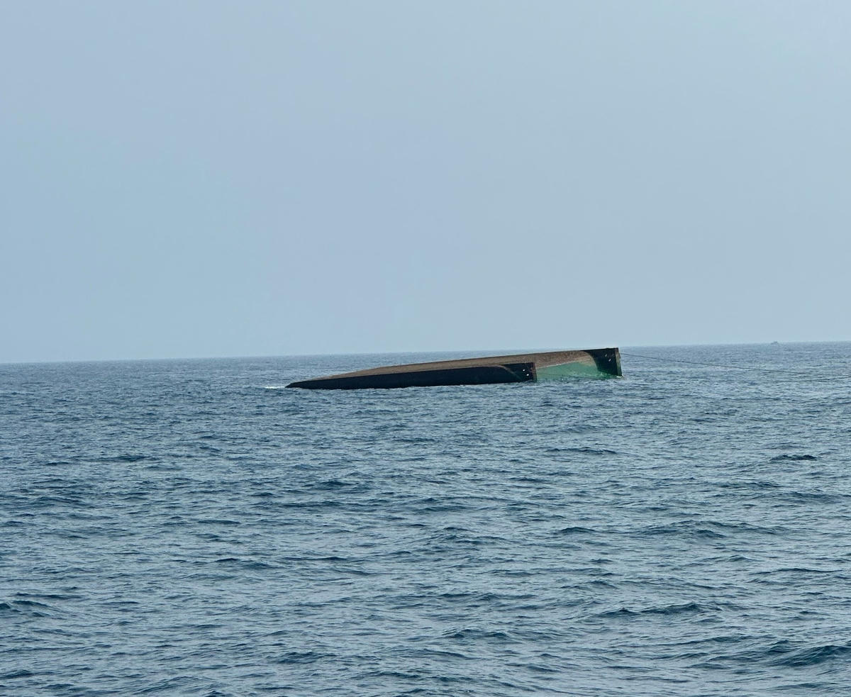 chim-1.jpg