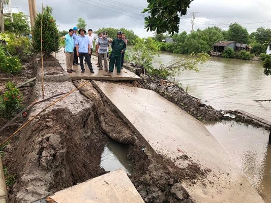 Tình trạng sạt lở ở các huyện ven biển Cà Mau rất phức tạp.