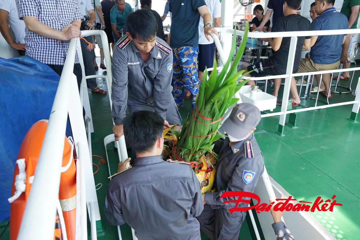 Cây xanh được vận chuyển lên xuống ca nô đưa lên đảo. Ảnh: Mạnh Thìn.
