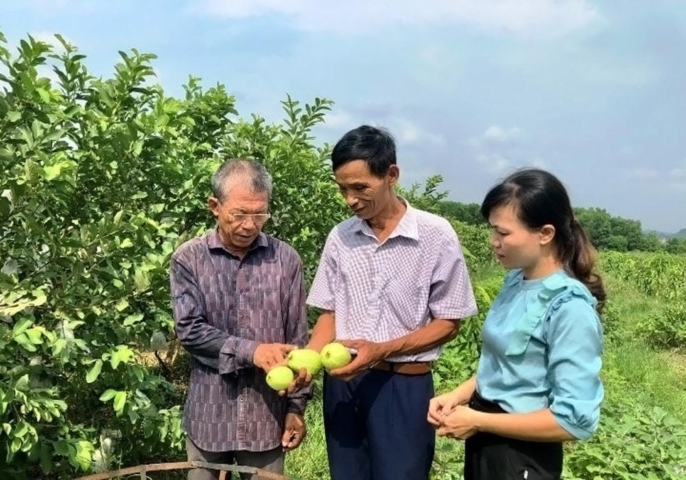 Ông Bùi Văn Vở (người đứng giữa) vận động người dân thôn Liên Sơn tham gia phát triển kinh tế hộ gia đình. Ảnh: Quỳnh Trâm.