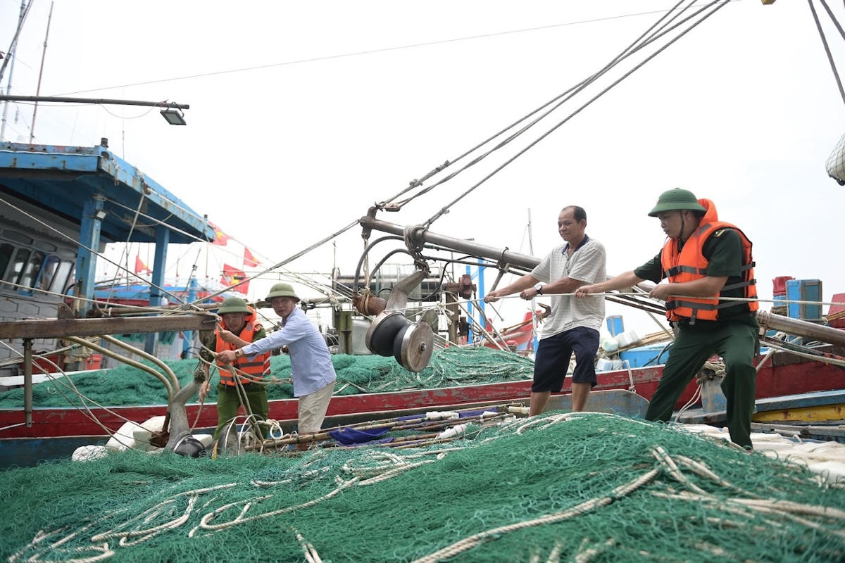 ảnh to bài chính 45