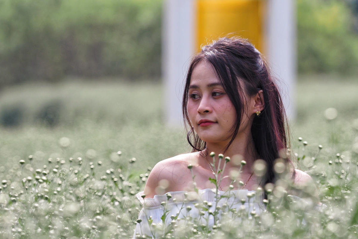 Thiếu nữ Hà Thành đẹp dịu dàng bên vườn cúc hoạ mi