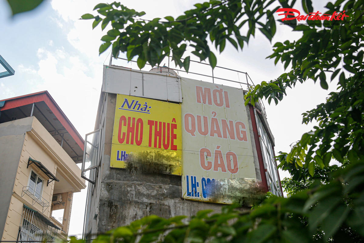 Xung quanh ngôi nhà được gắn hàng hoạt biển quảng cáo cho thuê nhà.
