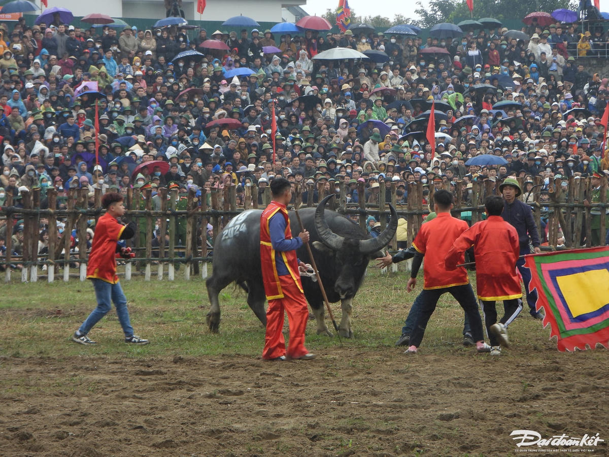 W_dscn8725.jpg