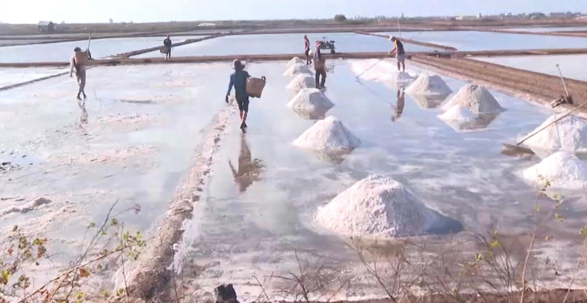Cánh đồng muối ở Bạc Liêu.