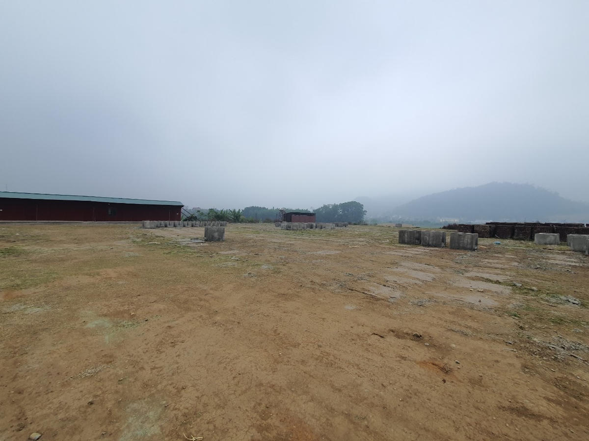 Dự án Trường THPT chuyên Hoàng Văn Thụ không có hoạt động thi công nào.