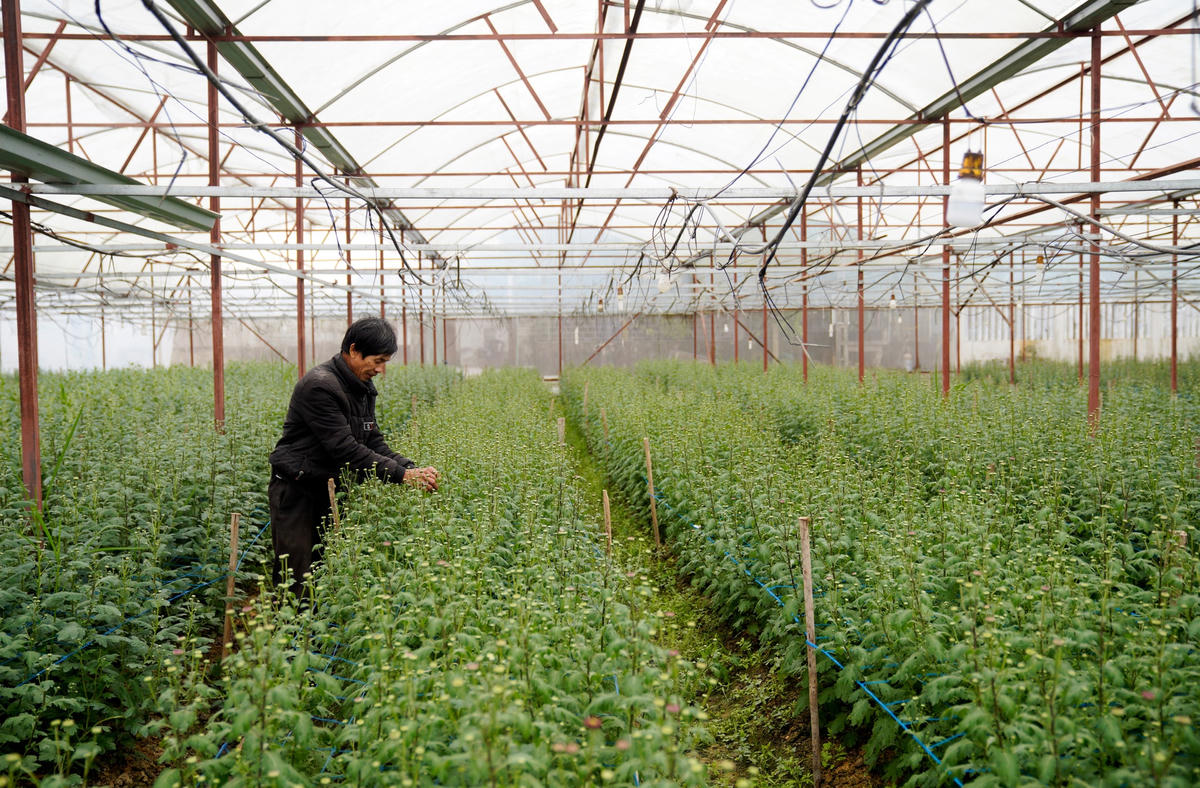 Thôn Xuân Sơn (xã Lưu Vĩnh Sơn, huyện Thạch Hà, tỉnh Hà Tĩnh) có truyền thống trồng hoa, cây cảnh nổi tiếng nhất tại khu vực này. Vào những ngày giáp Tết Nguyên đán, làng hoa nơi đây đang rộn ràng vào vụ chính, để cung ứng một lượng lớn hoa và cây cảnh cho thị trường các huyện, thị lân cận.