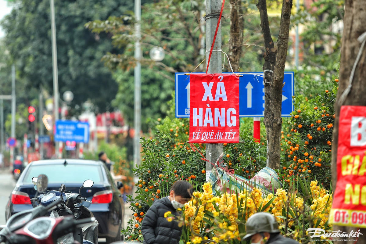 W_dao_quat_xa_lo-le-khanh23.jpg