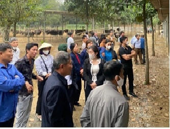 Hội viên Hội Nông dân xã Tiên Du được các đối tượng đưa đi tham quan mô hình trang trại đà điểu, gà tây, nấm. Ảnh: Công an TP Hà Nội.