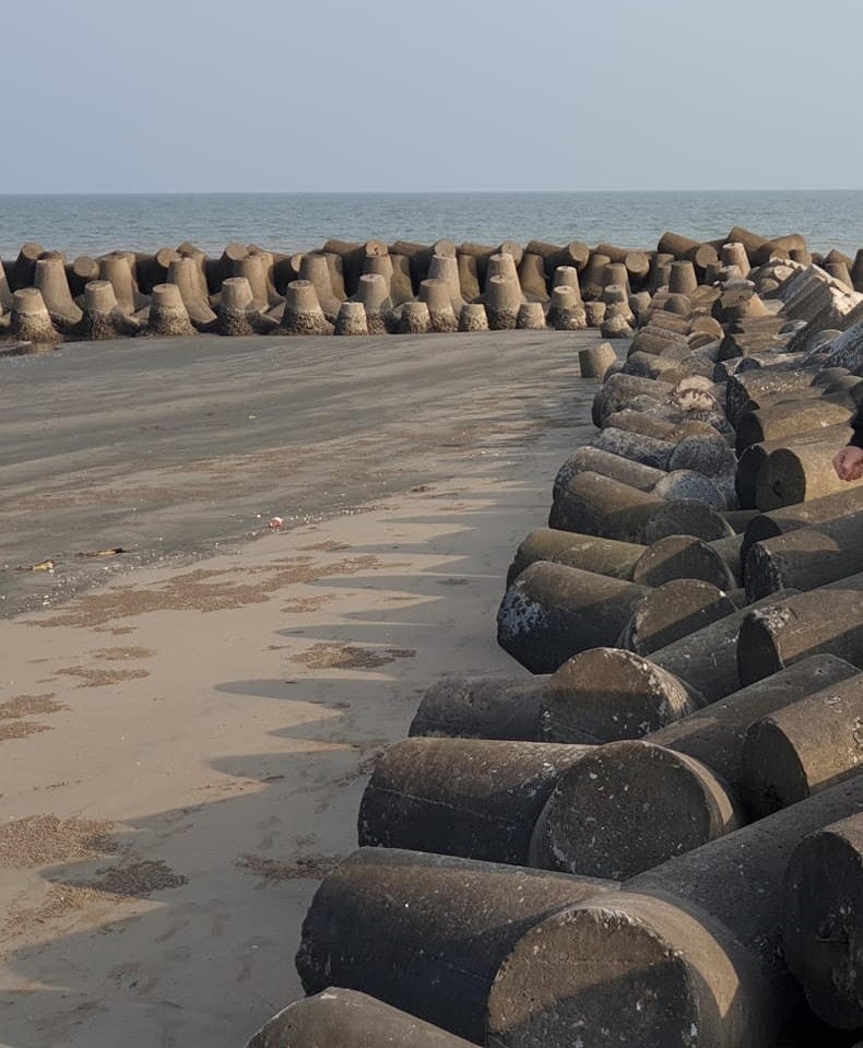 Một trong các biện pháp bảo vệ đê biển là làm thêm các mỏ hàn chữ T.