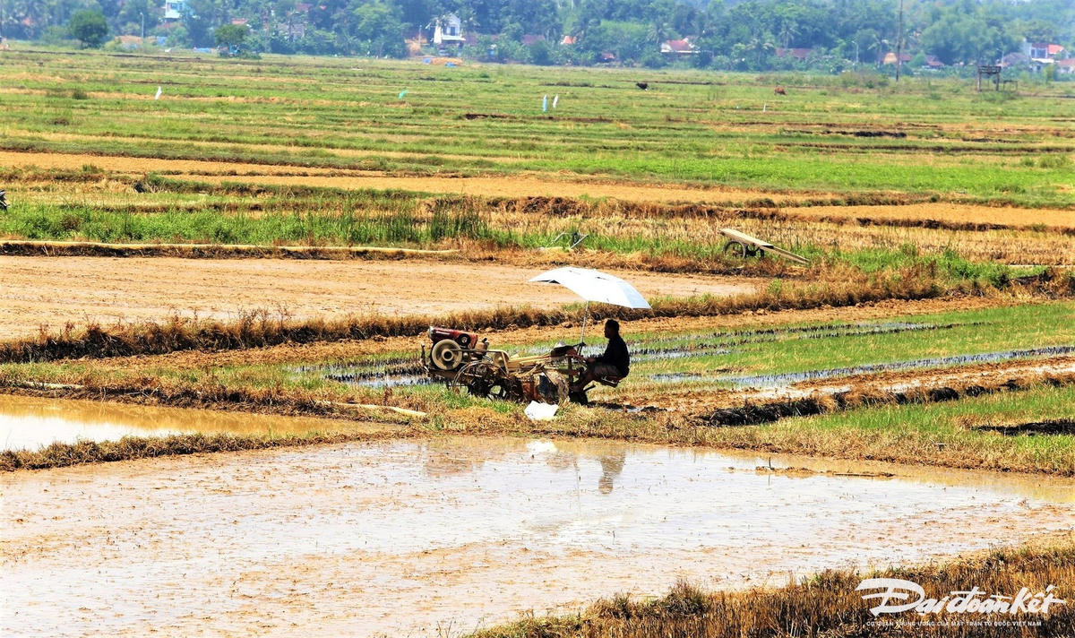 nang-nong-1.jpg
