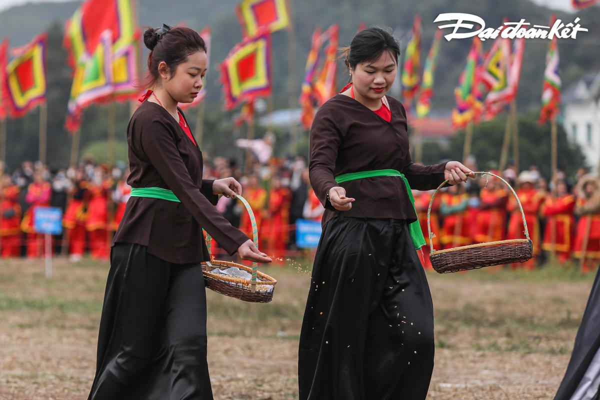 Các thôn nữ gieo hạt sau những sá cày.