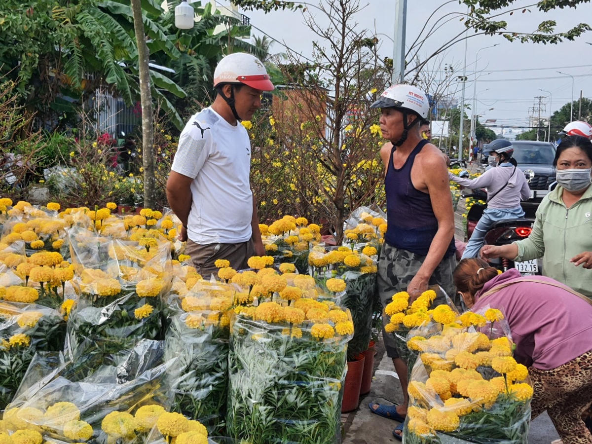 Người dân đổ xô đi mua hoa vạn thọ hạ giá chạm đáy ngày cuối cùng của năm 2022.