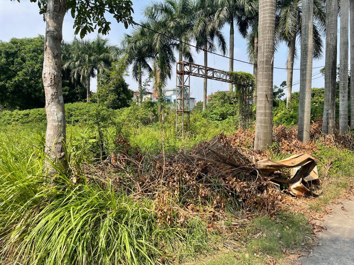 [ẢNH] Khu sinh thái giữa lòng Thủ đô xuống cấp, vắng bóng người qua lại&nbsp;