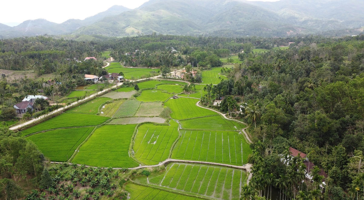 Làng cổ Lộc Yên thanh bình.