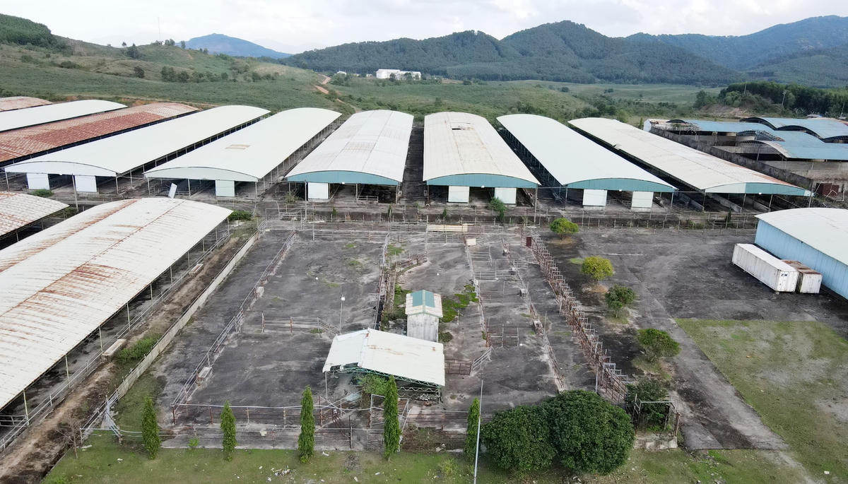 Cảnh tiêu điều hoang vắng, hệ thống chuồng trại xuống cấp, các khu nuôi nhốt bò vắng tanh, tốc mái, gỉ sét, cỏ dại mọc um tùm...