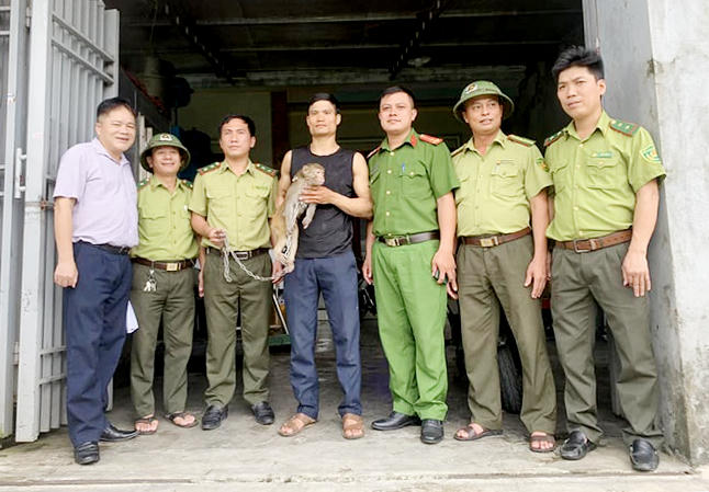 Anh Trần Văn Linh bàn giao khỉ vàng cho cơ quan chức năng ngay sau khi bắt được. 