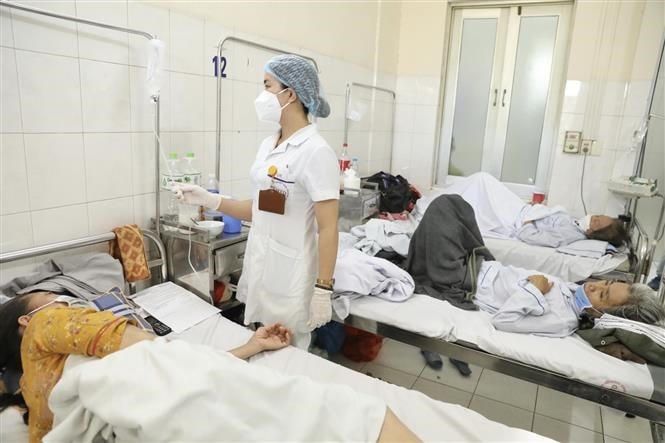Bệnh nhân sốt xuất huyết điều trị tại bệnh viện Bệnh Nhiệt đới Trung ương. Ảnh: Minh Quyết/TTXVN.