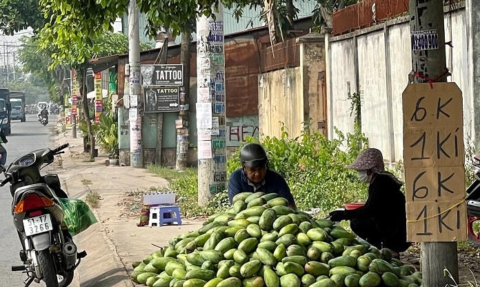 Nông dân Long An trực tiếp mang dưa lên TP Hồ Chí Minh tiêu thụ.