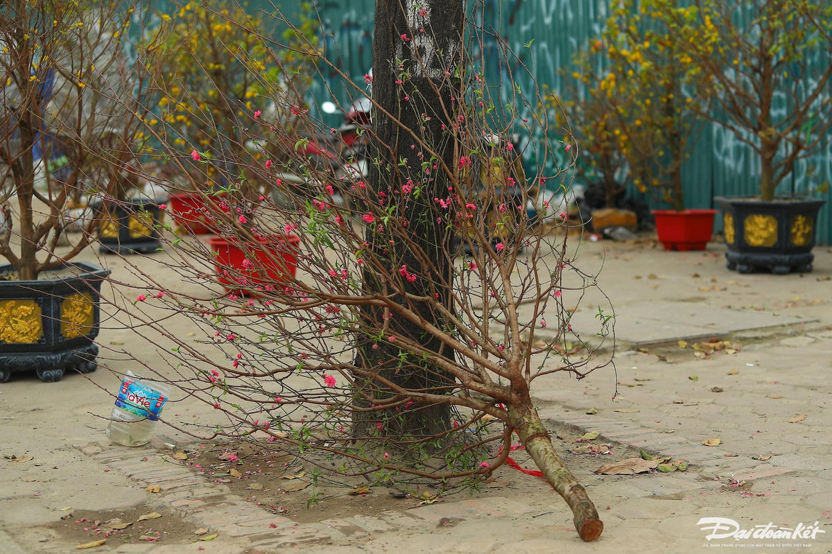 W_dao_quat_xa_lo-le-khanh8.jpg