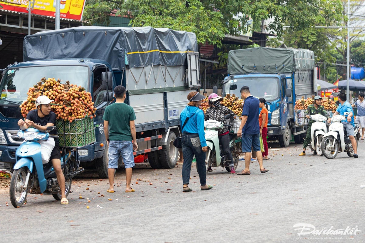 ban_vai-le-khanh9.jpg